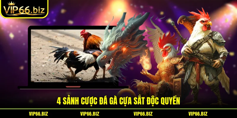 4 sảnh cược đá gà cựa sắt độc quyền