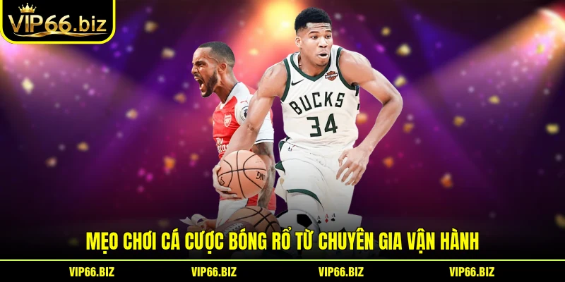 Mẹo chơi cá cược bóng rổ từ chuyên gia vận hành